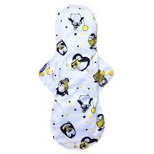 Nocturna Pingüinos